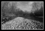 fiume ticino 01 fiume ticino 01