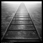 Verso il paradiso...