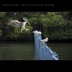 cabin crew perform landing