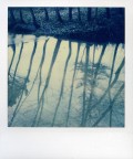 Reflex*** Reflex***