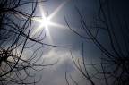 Il Sole Il Sole