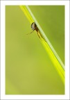 Al riparo dal sole Al riparo dal sole