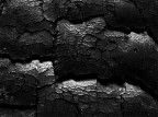 foto bruciata foto bruciata