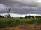 Africa Africa