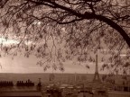 Da Montmartre Da Montmartre
