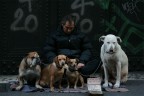 Mondo cane Mondo cane