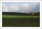 Sulla scena... Sulla scena...