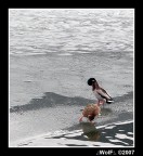 Suggerimenti e critiche sempre ben accetti