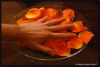 La mano dei Fiori La mano dei Fiori