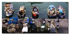 Pesca e colori Pesca e colori