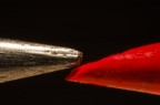 La Matita e il Colore La Matita e il Colore
