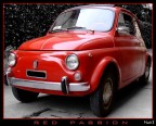 RED PASSION RED PASSION