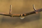 sotto il ponte scorre l'acqua