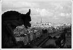 Gargoyle Gargoyle