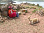 Peru 5 Peru 5