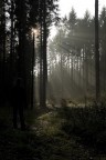 nell'ombra nell'ombra