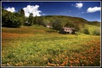 CASCINE CASCINE