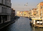 venezia