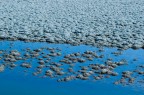 La salina La salina