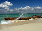 Il tronco in mare Il tronco in mare