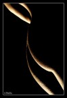 Forme Sinuose Forme Sinuose
