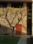 la porta rossa la porta rossa