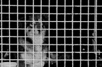 behind bars behind bars