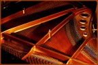 pianoforte pianoforte