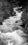 Torrente Torrente