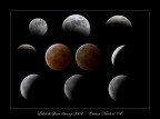 Mosaico eclisse di luna Mosaico eclisse di luna