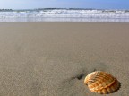 Spiaggia ad Anzio. Spiaggia ad Anzio.