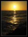 anzio's sunset cacofonic birds anzio's sunset cacofonic birds