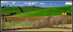Nei Pressi di Buonconvento Nei Pressi di Buonconvento