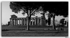 Tempio negli scavi di Paestum