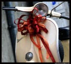 f/5 
1/250 
iso800 
200mm