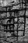 Muro Muro