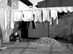 bucato bucato