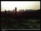 Vecchia campagna Vecchia campagna