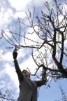Lavoro primaverile Lavoro primaverile