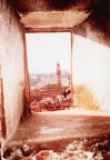 FIRENZE FIRENZE
