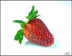 fragola fragola