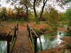 Paesaggio Autunnale "fontanassi" del sile Paesaggio Autunnale "fontanassi" del sile