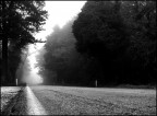 La strada La strada