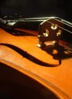 Violino Violino