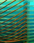 In the ipermarket ( alien thoracic cage ) In the ipermarket ( alien thoracic cage )
