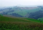 COLLINE PESARESI