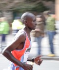 ferrara marathon 2007 ferrara marathon 2007