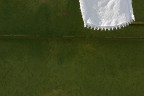 il verde il verde