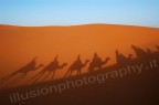 tricche ballacche e cammallate!! tricche ballacche e cammallate!!