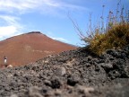 ETNA ETNA